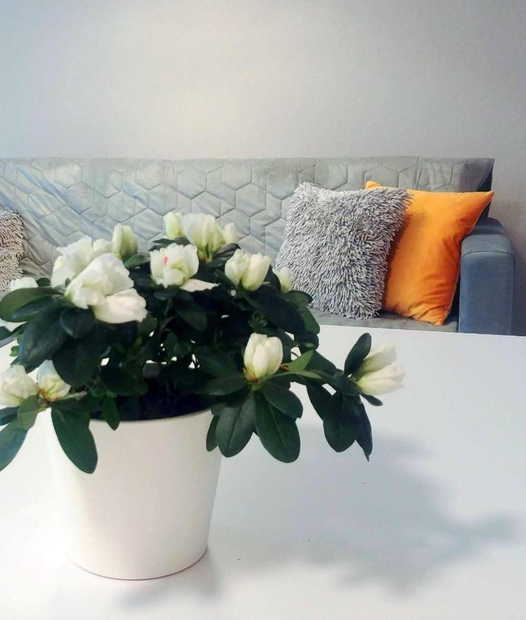 Bel Mare Wyspa, Apartament Z Parkingiem Gratis Międzyzdroje Zewnętrze zdjęcie